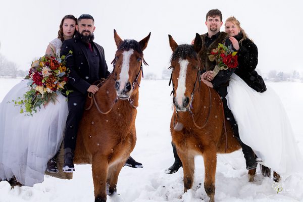<a href="https://thewingsofeagle.com/proofing/pages.php?gid=185" target="_blank" rel="noopener">Nordic Viking Weddings</a>